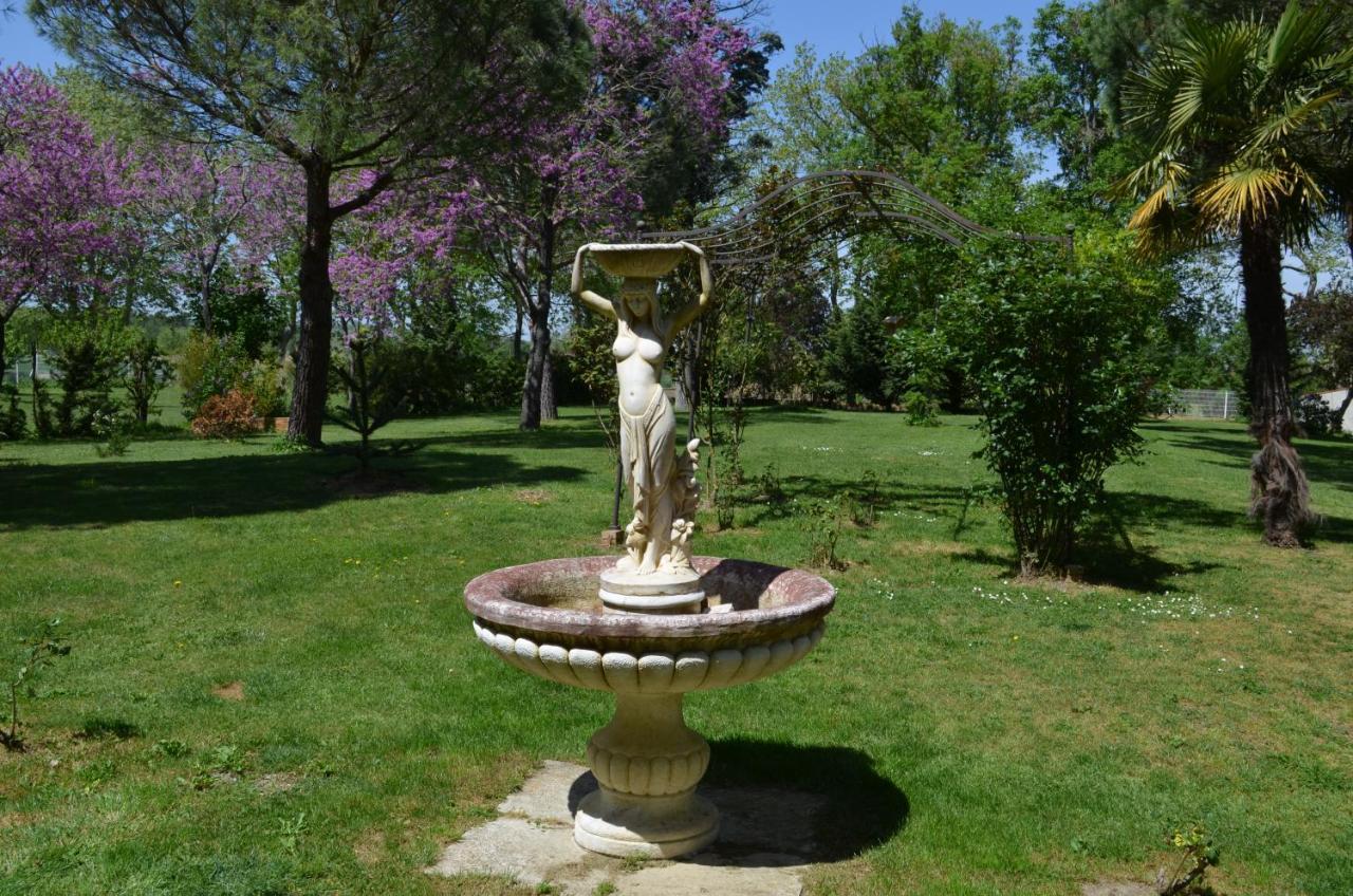 La Louisiane 31 Bed & Breakfast Villefranche-de-Lauragais Ngoại thất bức ảnh